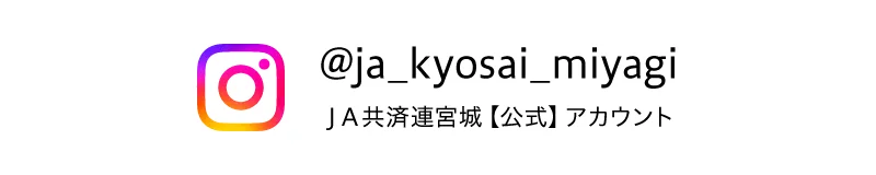 Jakyosai ig
